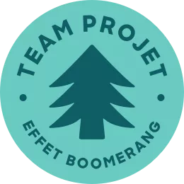 Team projet